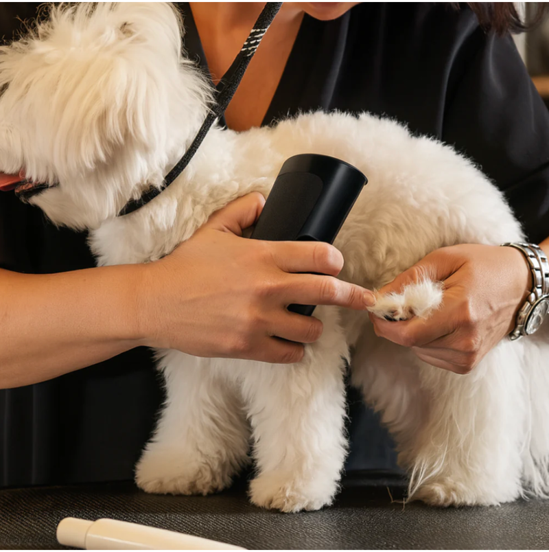 FurLief™ – Zachte Ontklit- & Verzorgborstel voor Honden