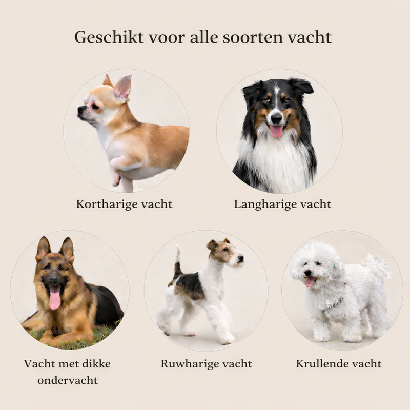 FurLief™ – Zachte Ontklit- & Verzorgborstel voor Honden