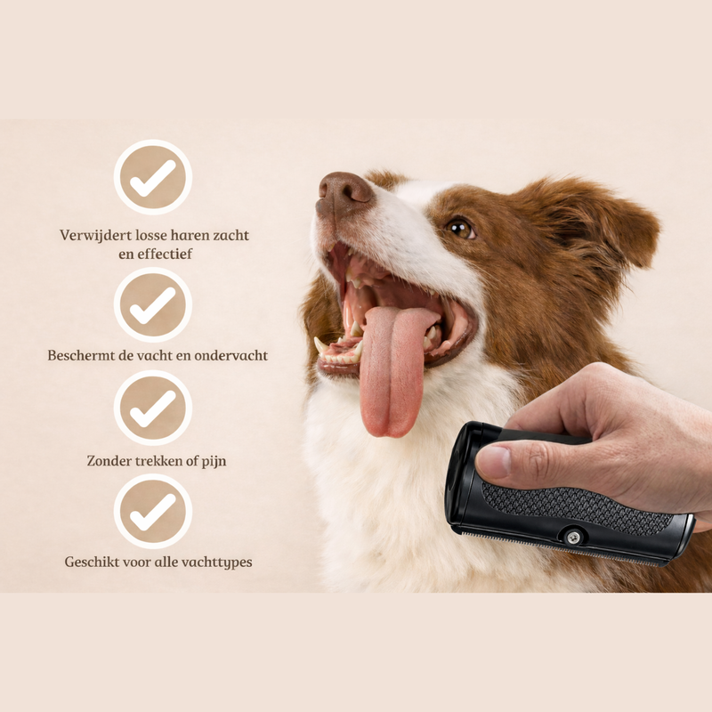 FurLief™ – Zachte Ontklit- & Verzorgborstel voor Honden